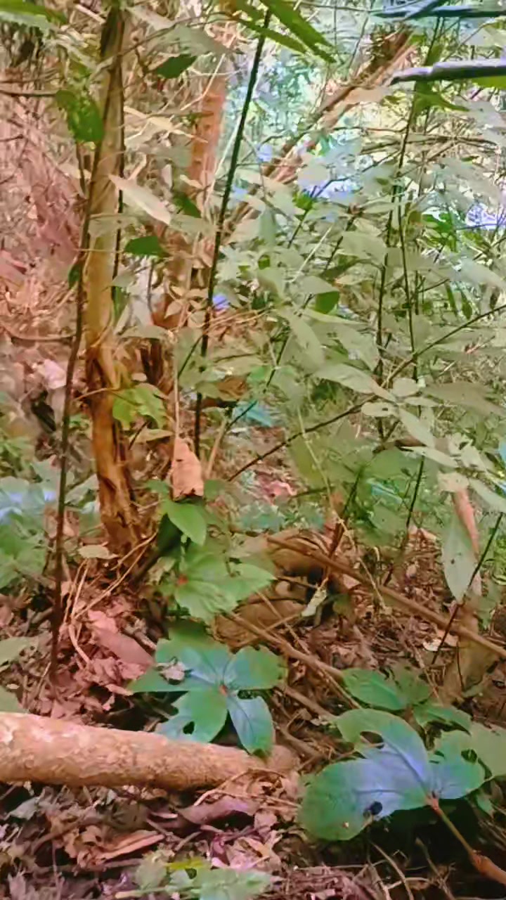 @CHẬM LẠI MỘT CHÚT🍀
