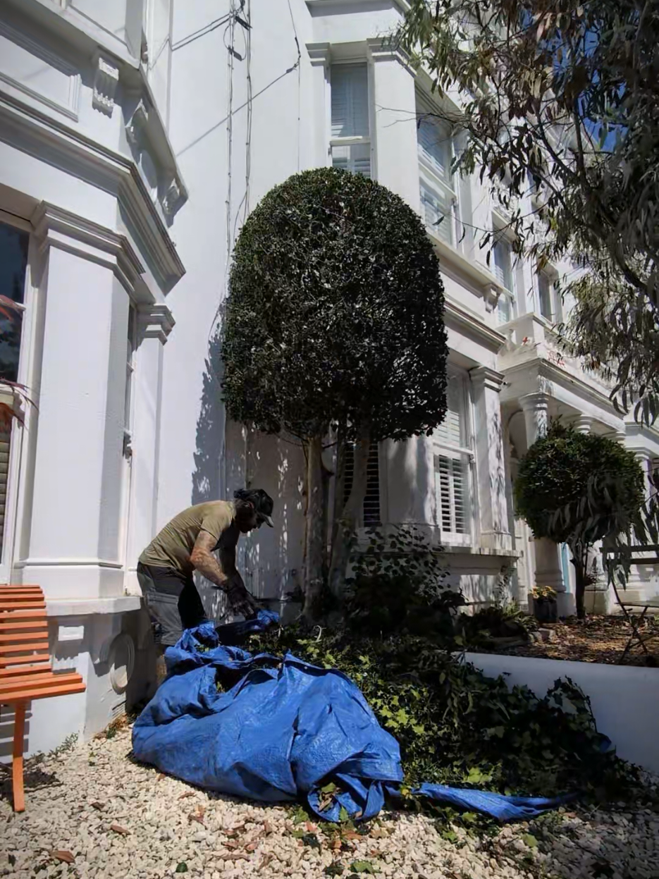@Gary Hall Garden Services