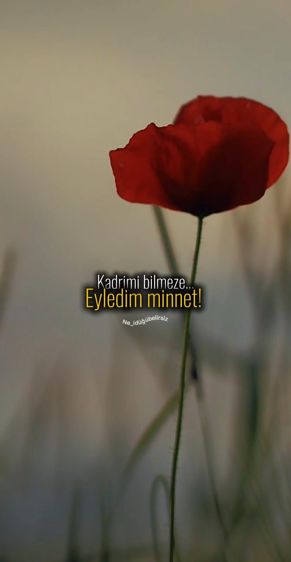 @ne_idugubelirsiz