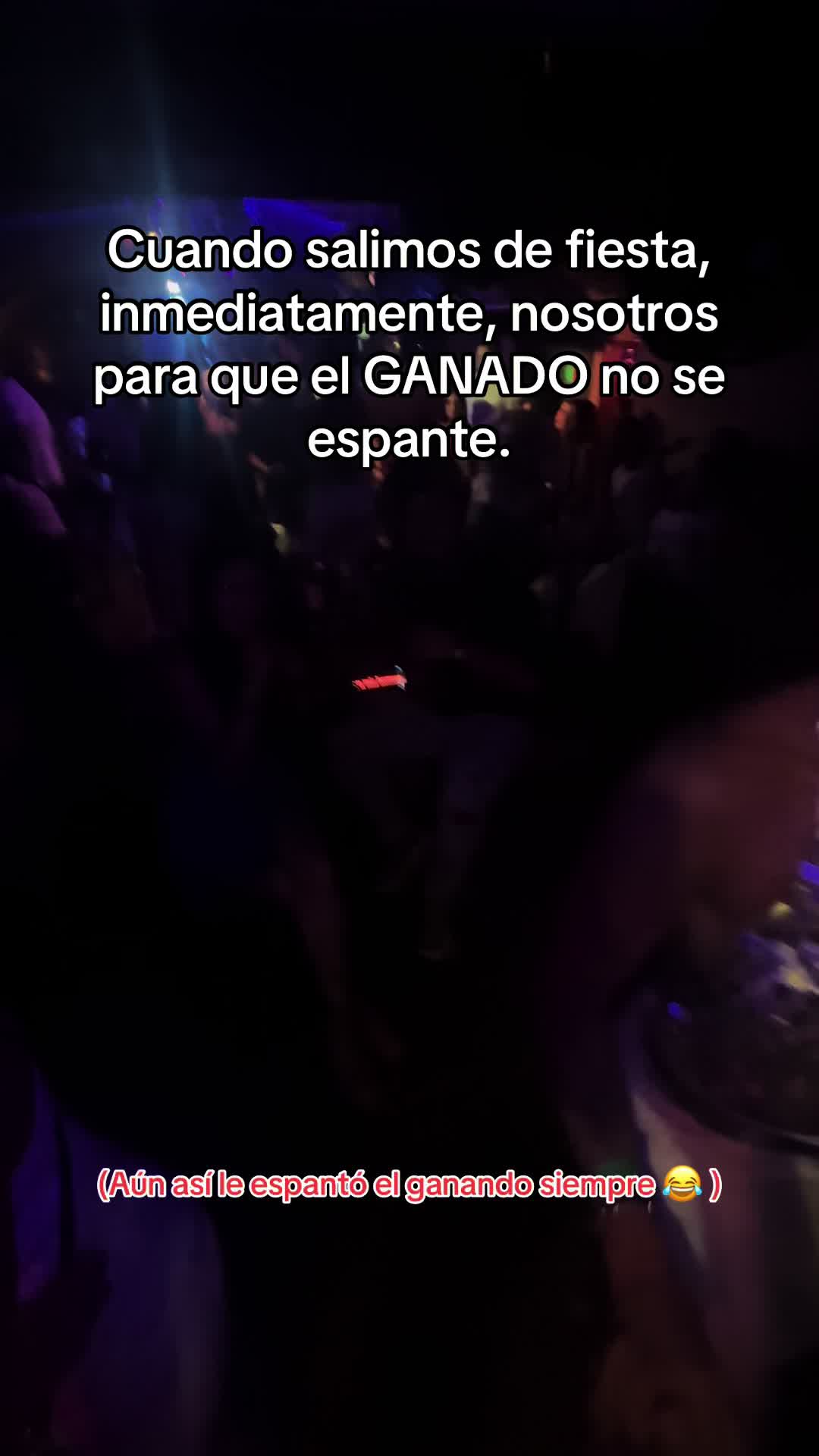@ミ★𝘗𝘢𝘶𝘭𝘺_dlt★彡