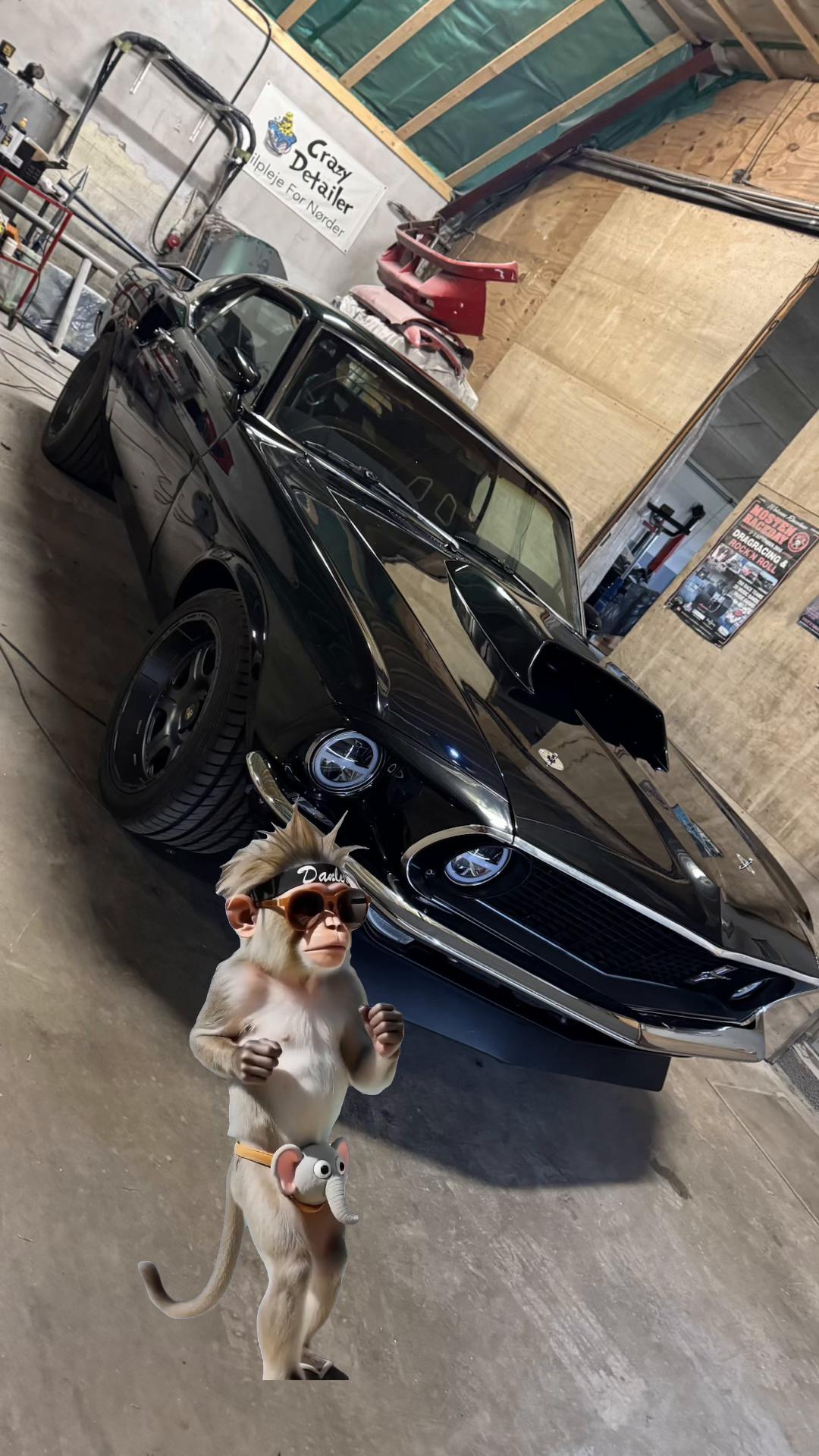 @That69Stang