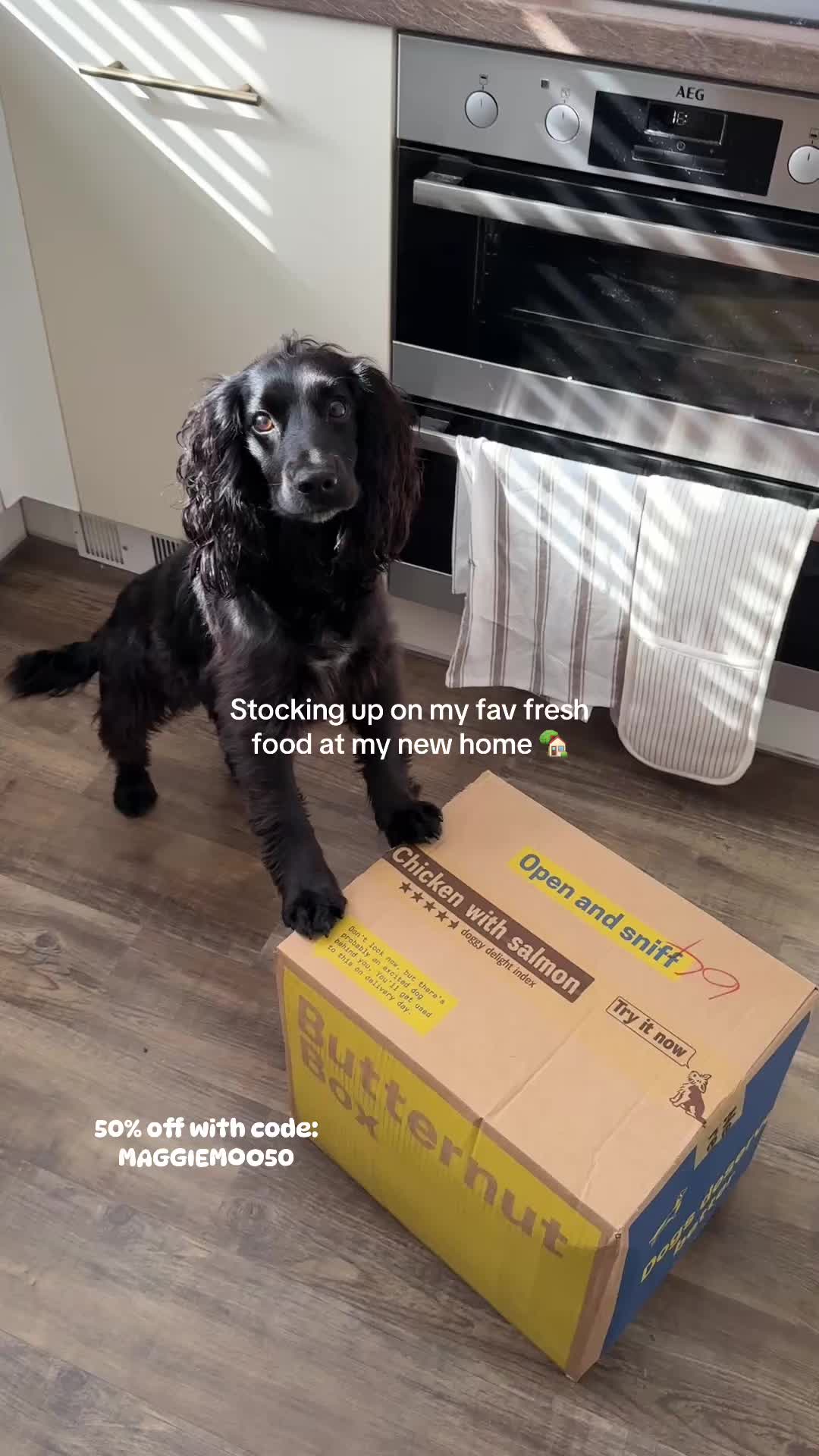 @maggie.moo.cocker