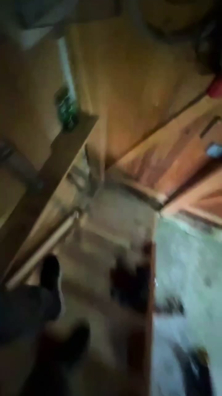 @bklf_timi