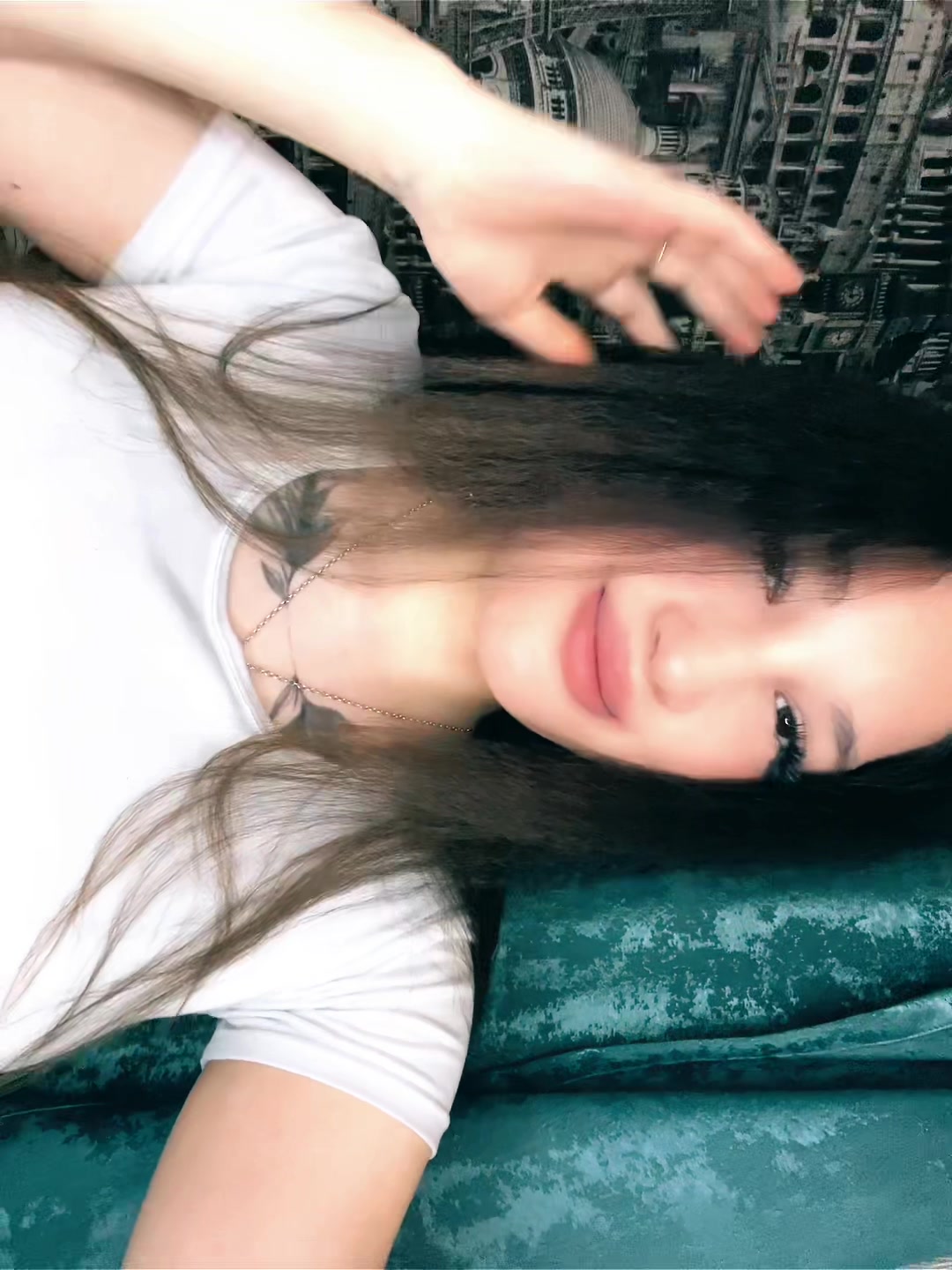 @🐈⬛🐾