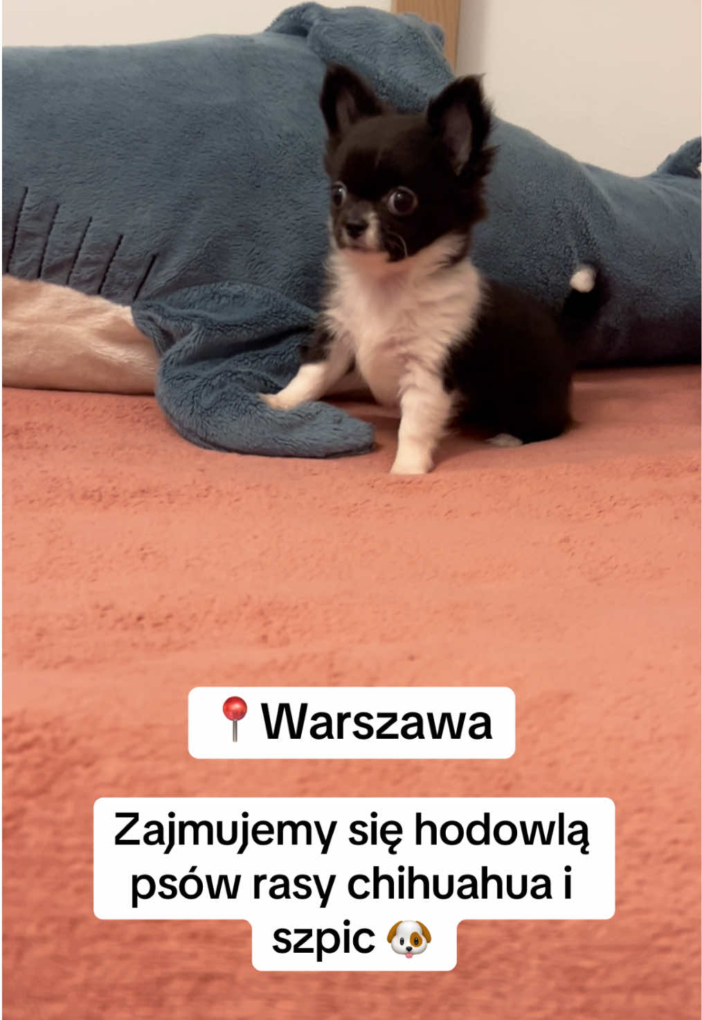 @Ulybki_lilu