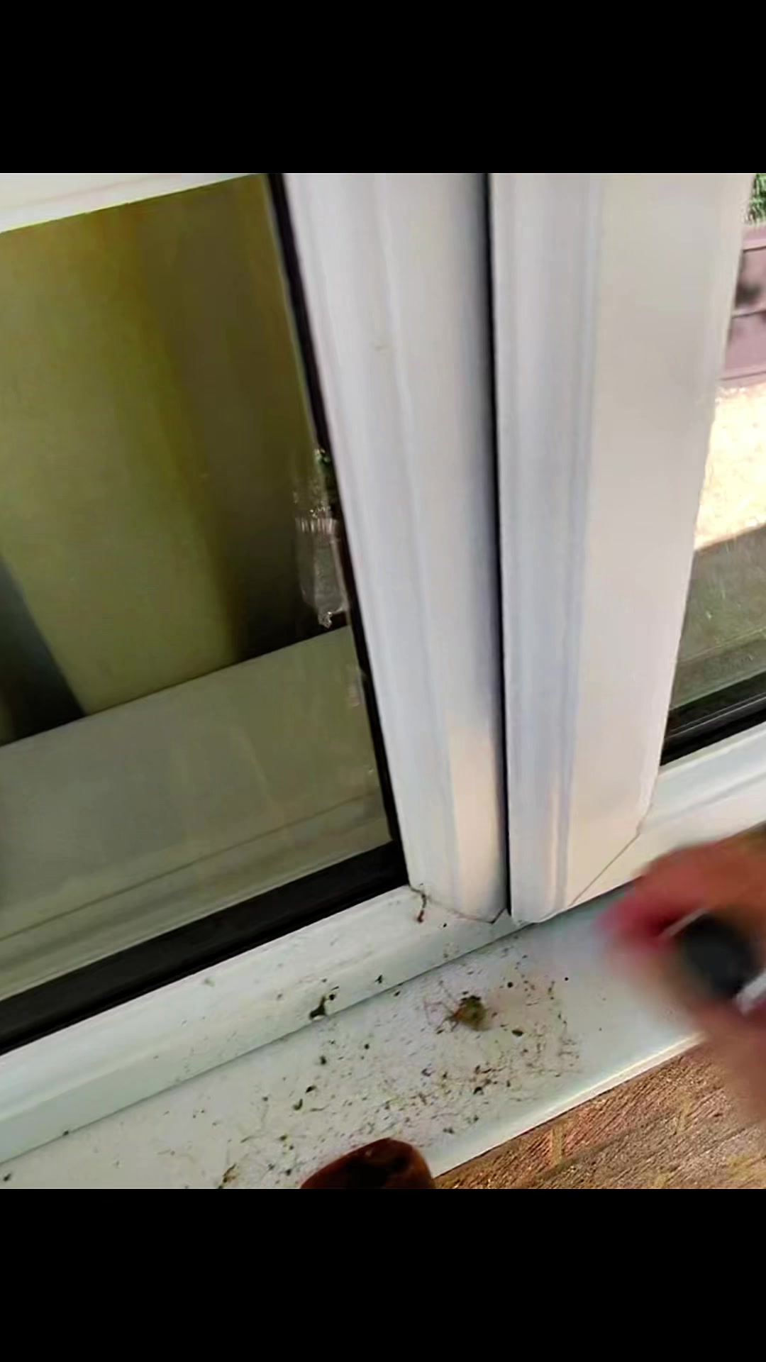 @Windowscotty