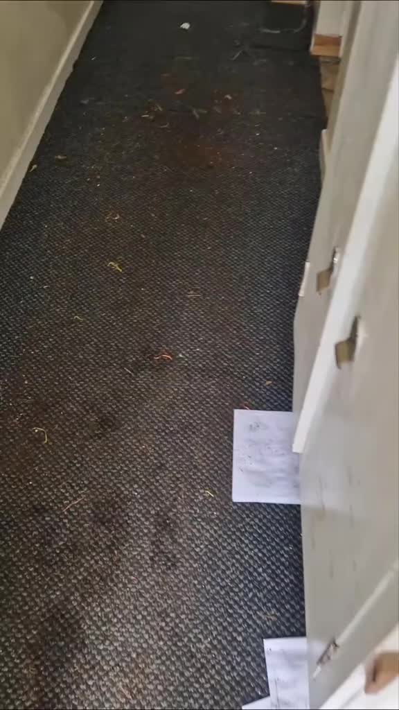 @Thomas carpet cleaning Ltd