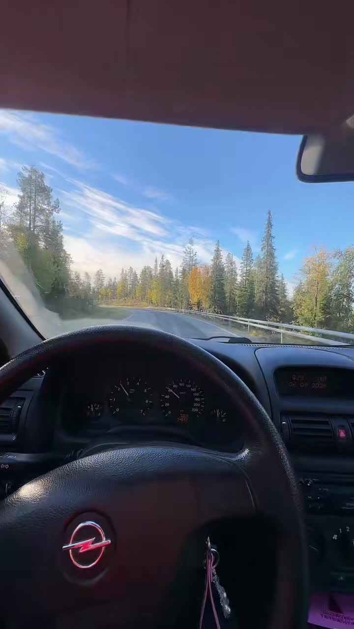 @Koitos