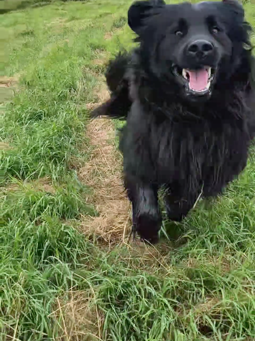 @AdamnOdin