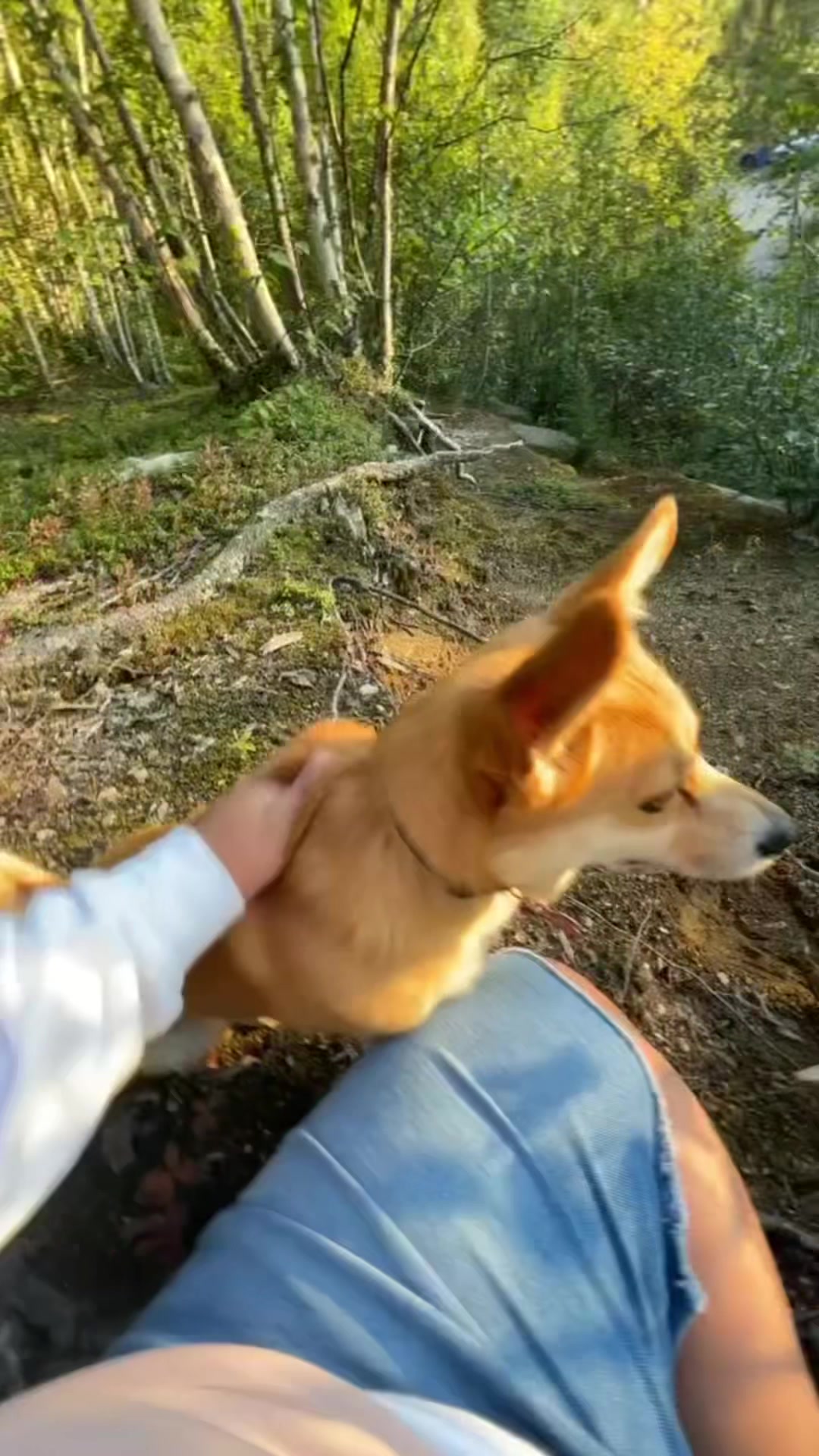 @gracie🦝