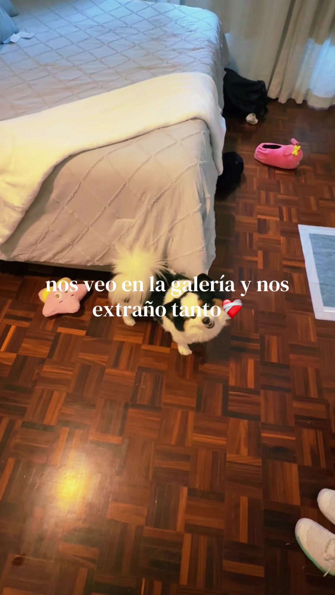 @ariii<3