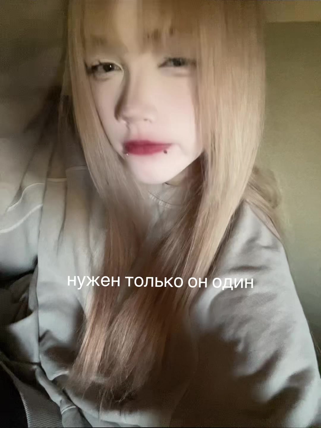 @лацертида