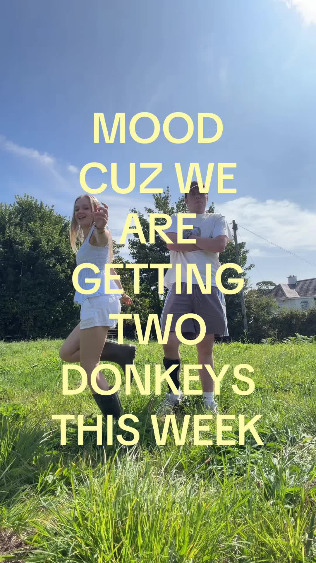 @lib⭐️🌟