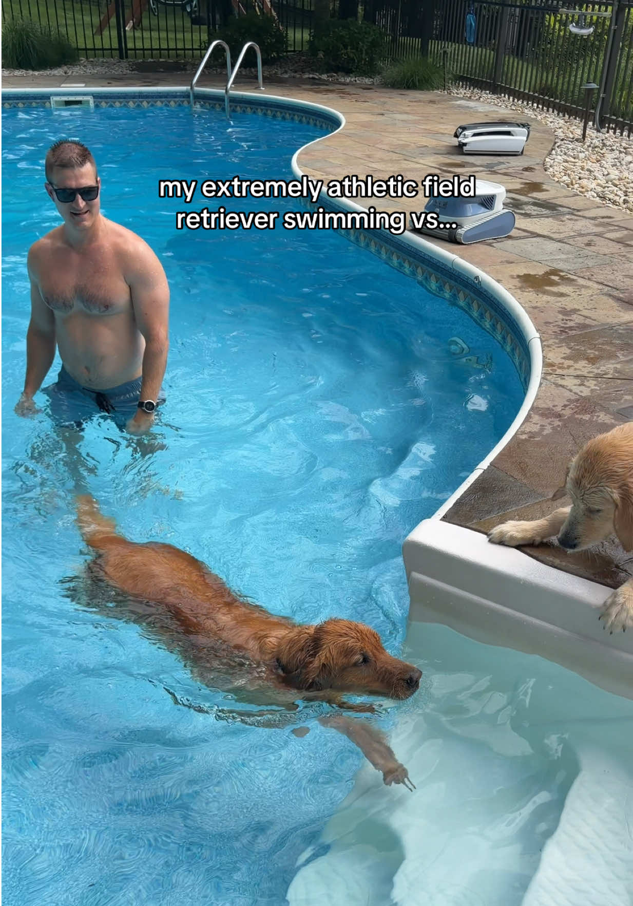 @agoldendogmom