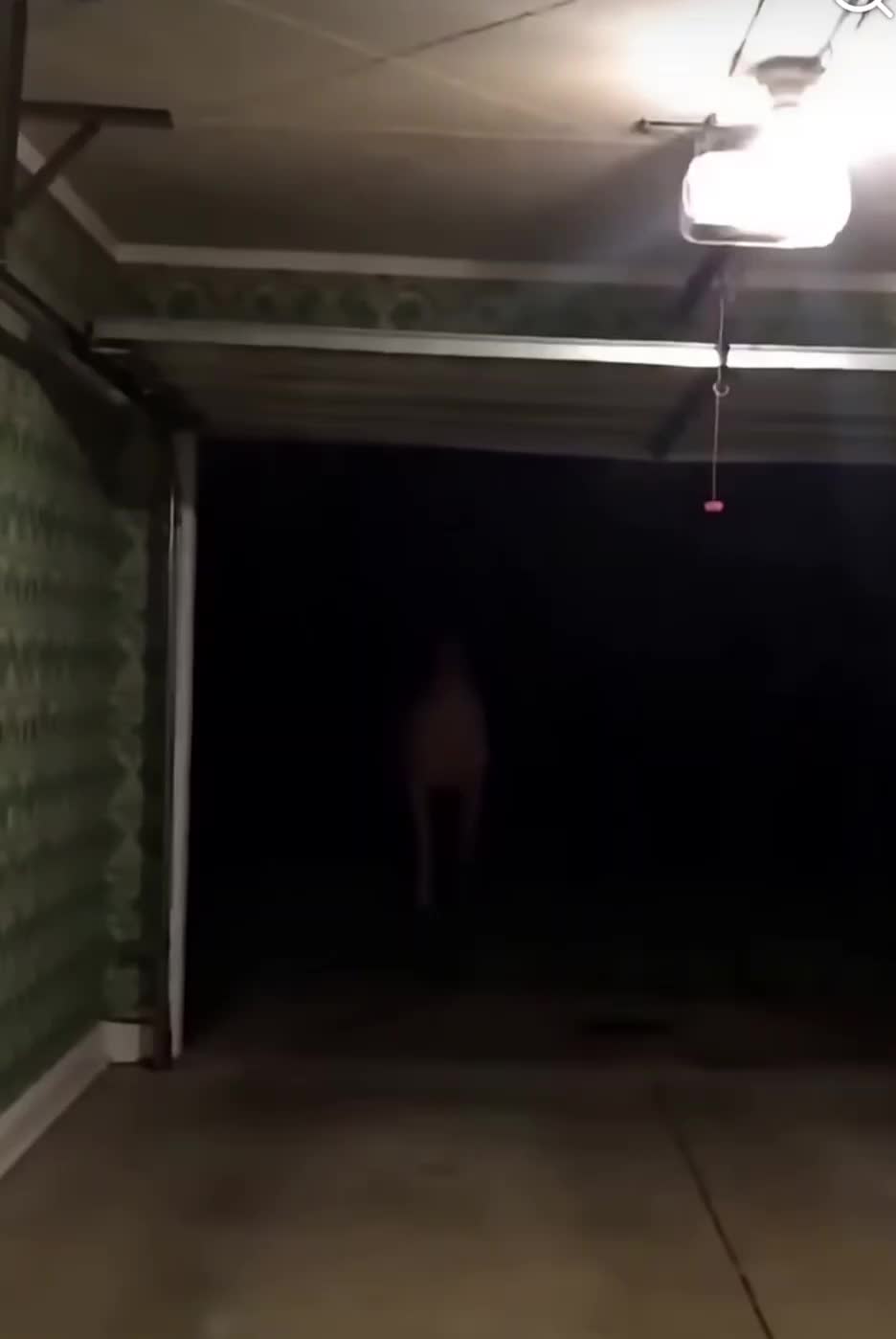 @ANDI - TheGecko666