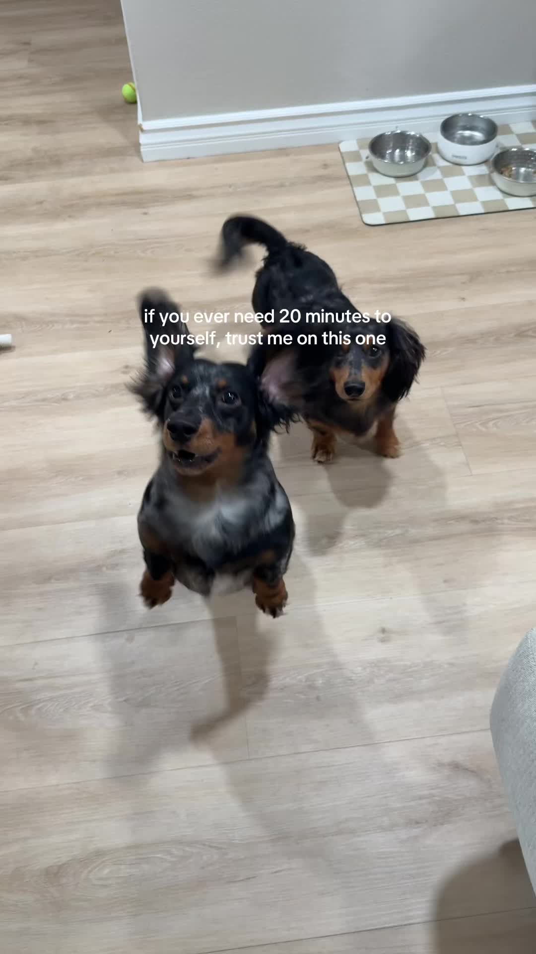 @dennisxrussell