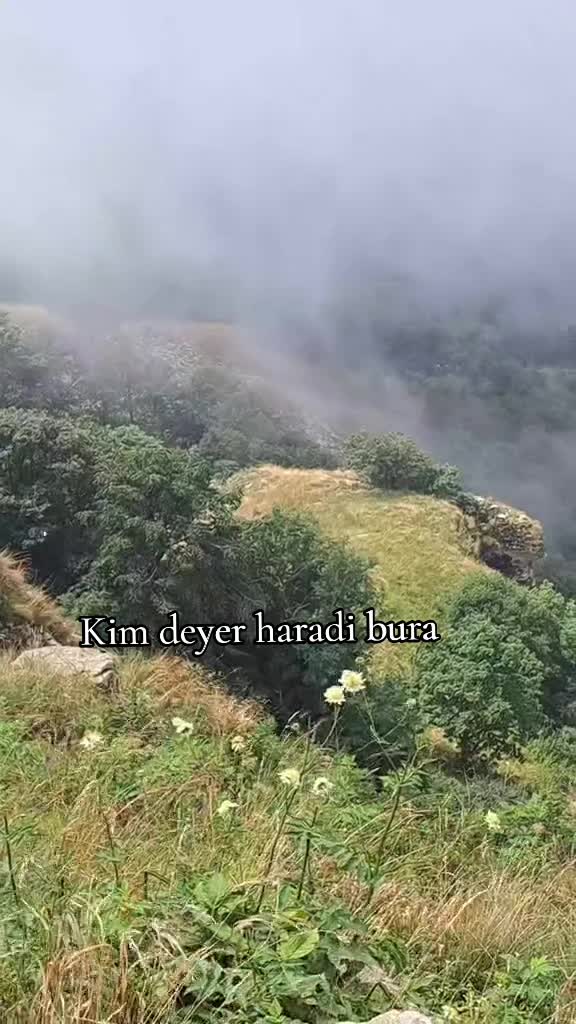 @🇦🇿_{_Sərvan_}_032_🇦🇿
