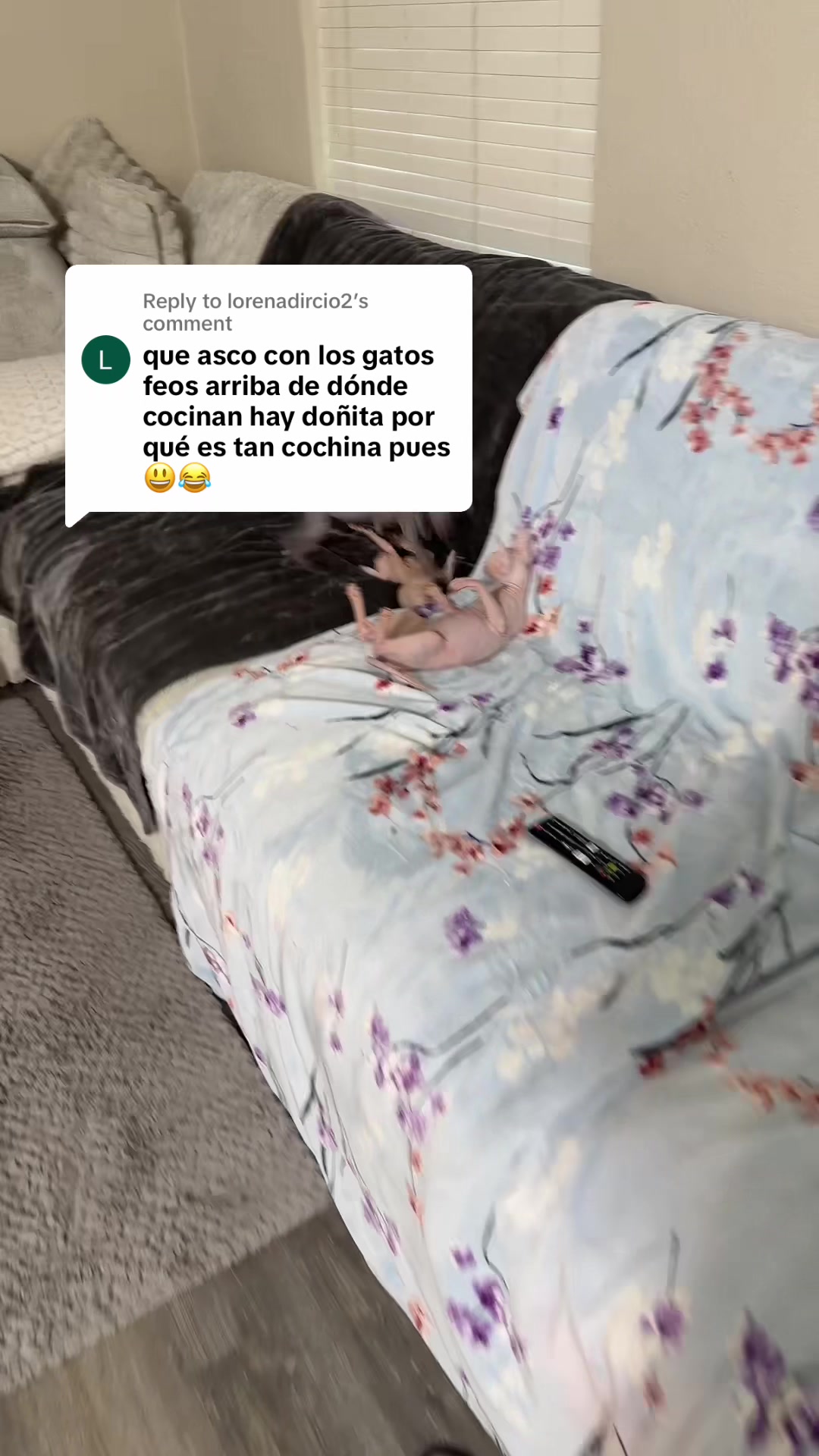 @Elcompachekoylaflaca