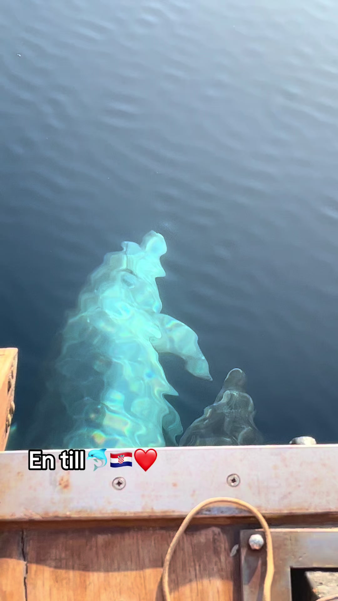 @𝕃𝕚𝕤𝕖𝕟