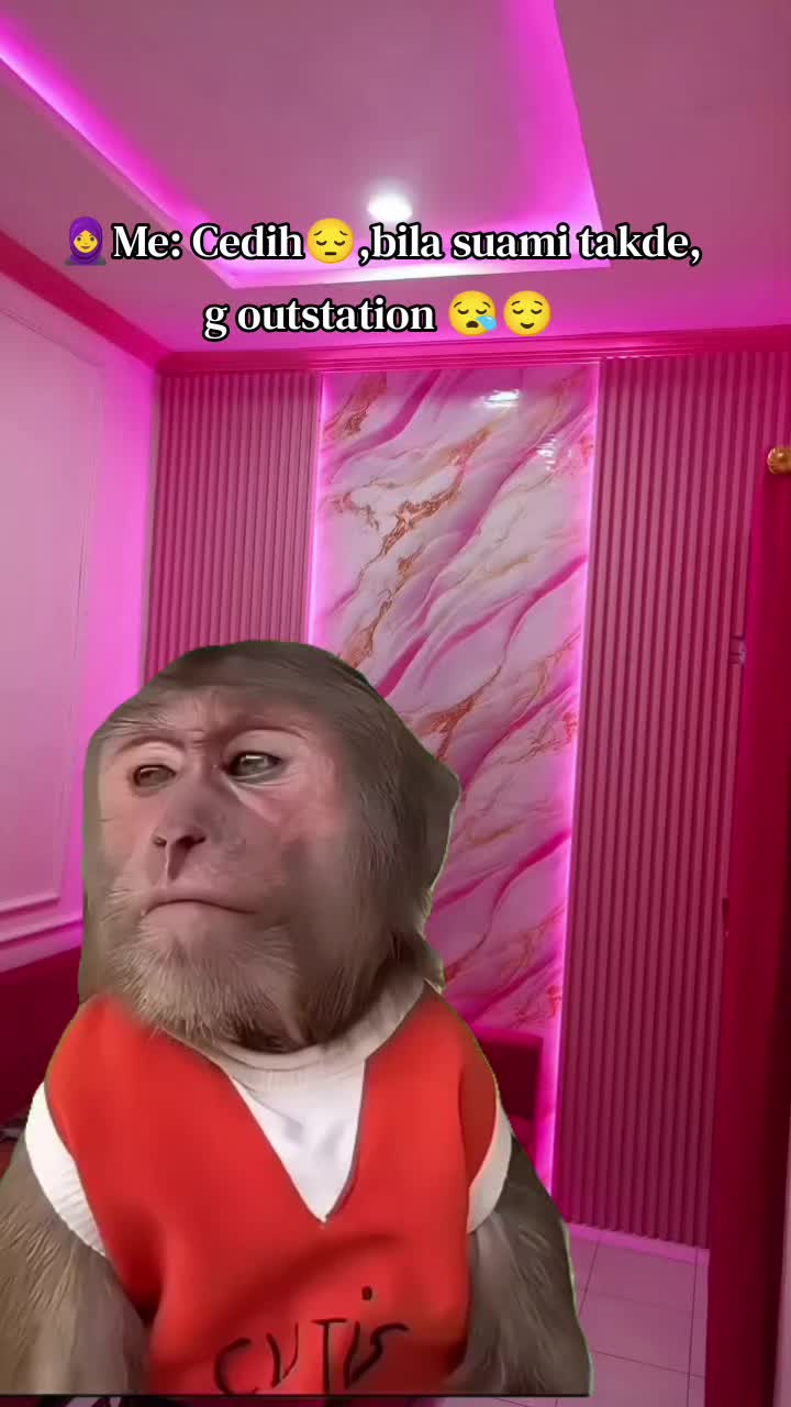 @SheShe