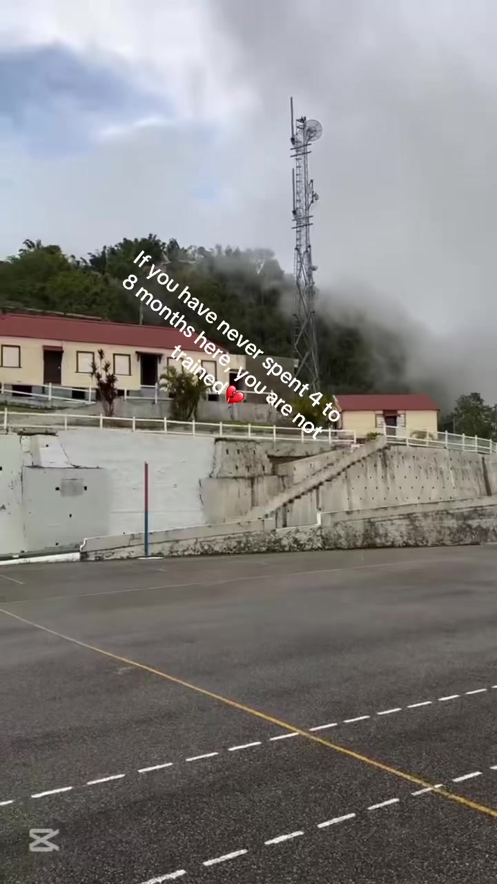 @FOR🐊AMUSEMENT🇯🇲ONLY🐊