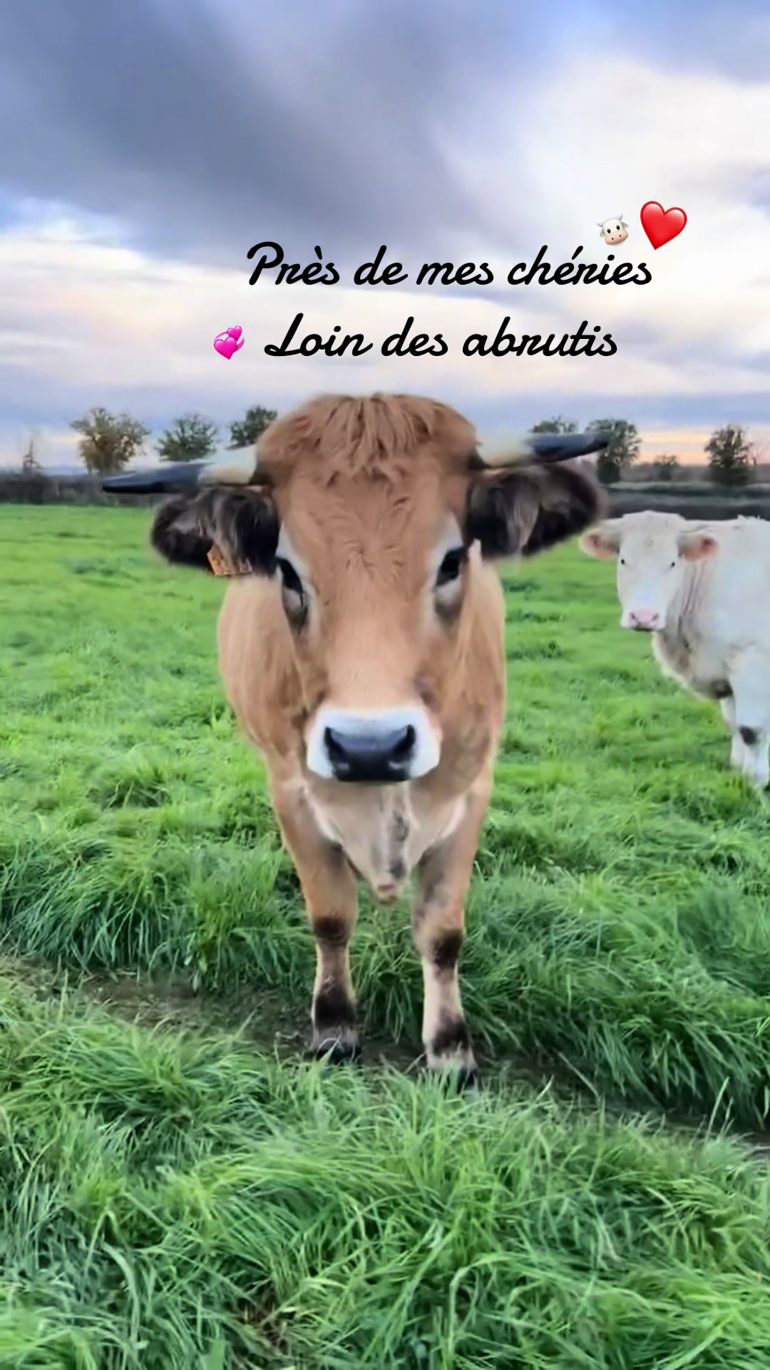 @Juliette 👩🏼&zwj;🌾🌾