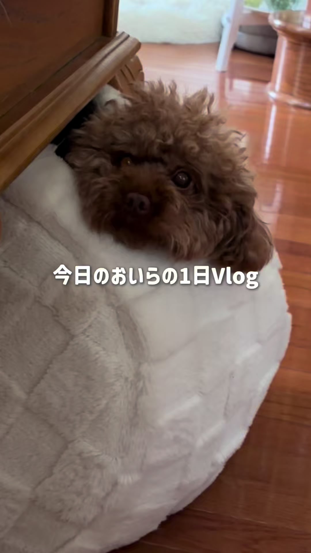 @るるもも