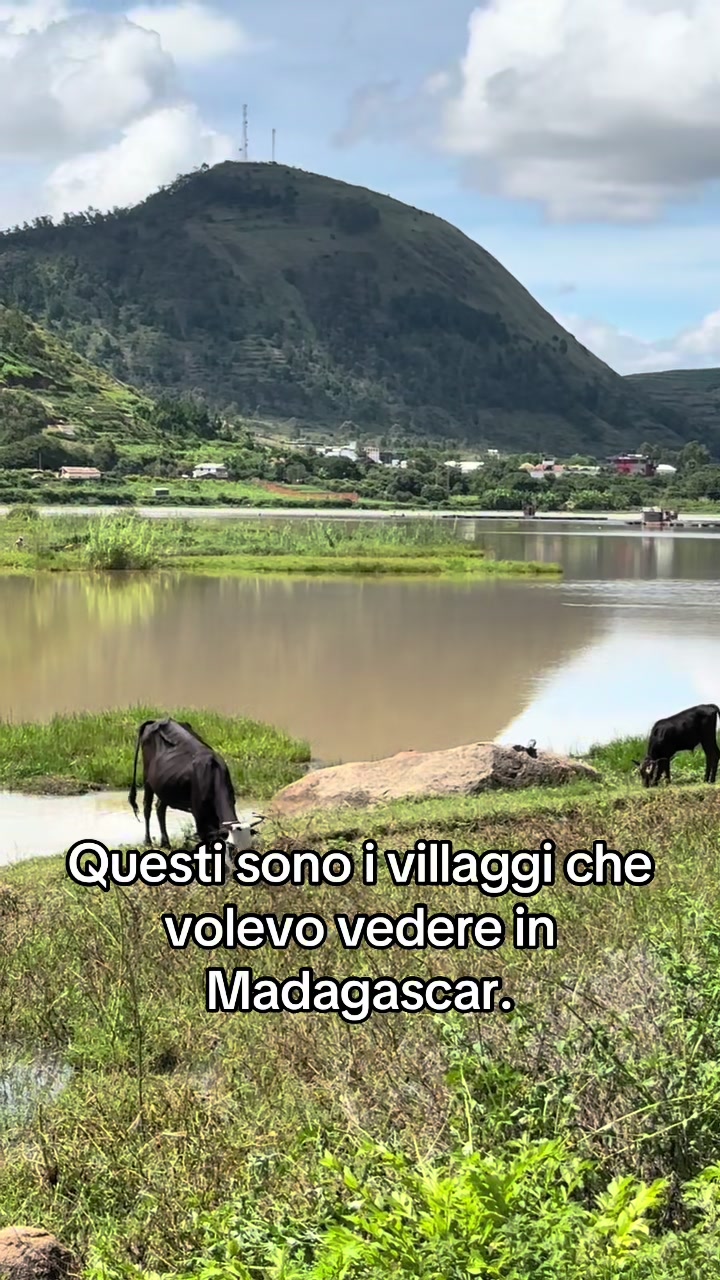 @Rottaversoest