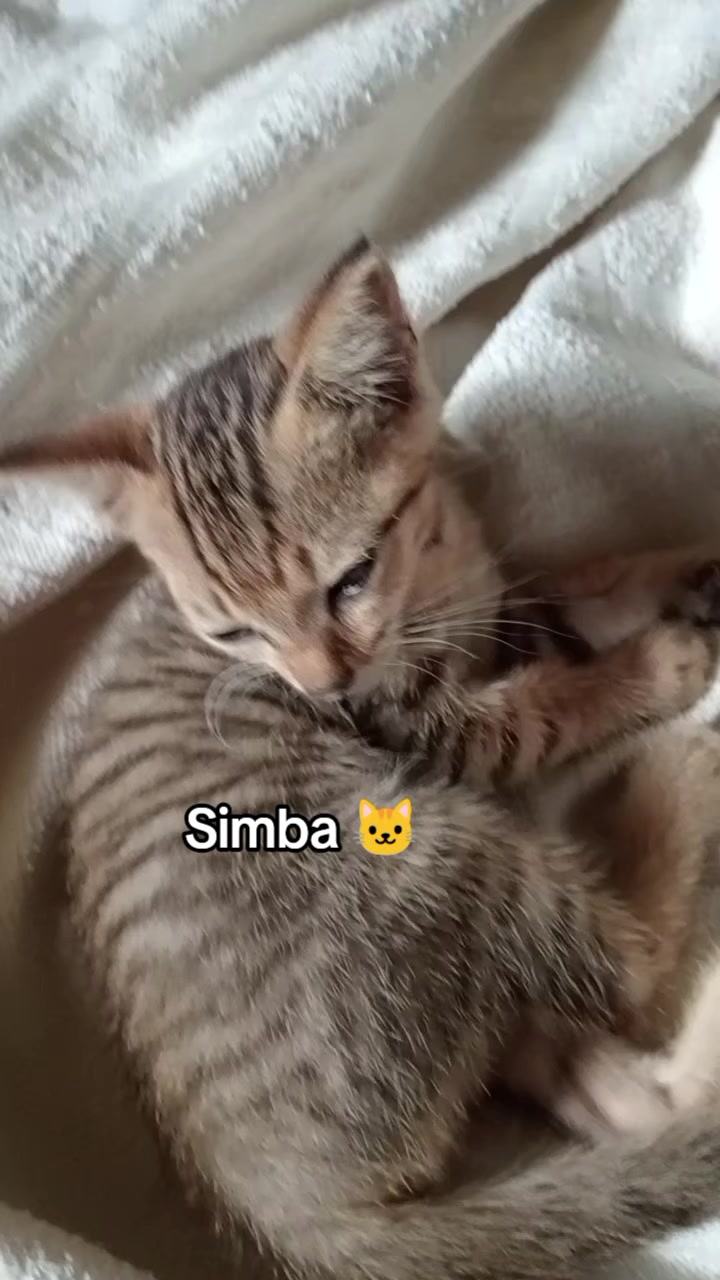 @Rizqi