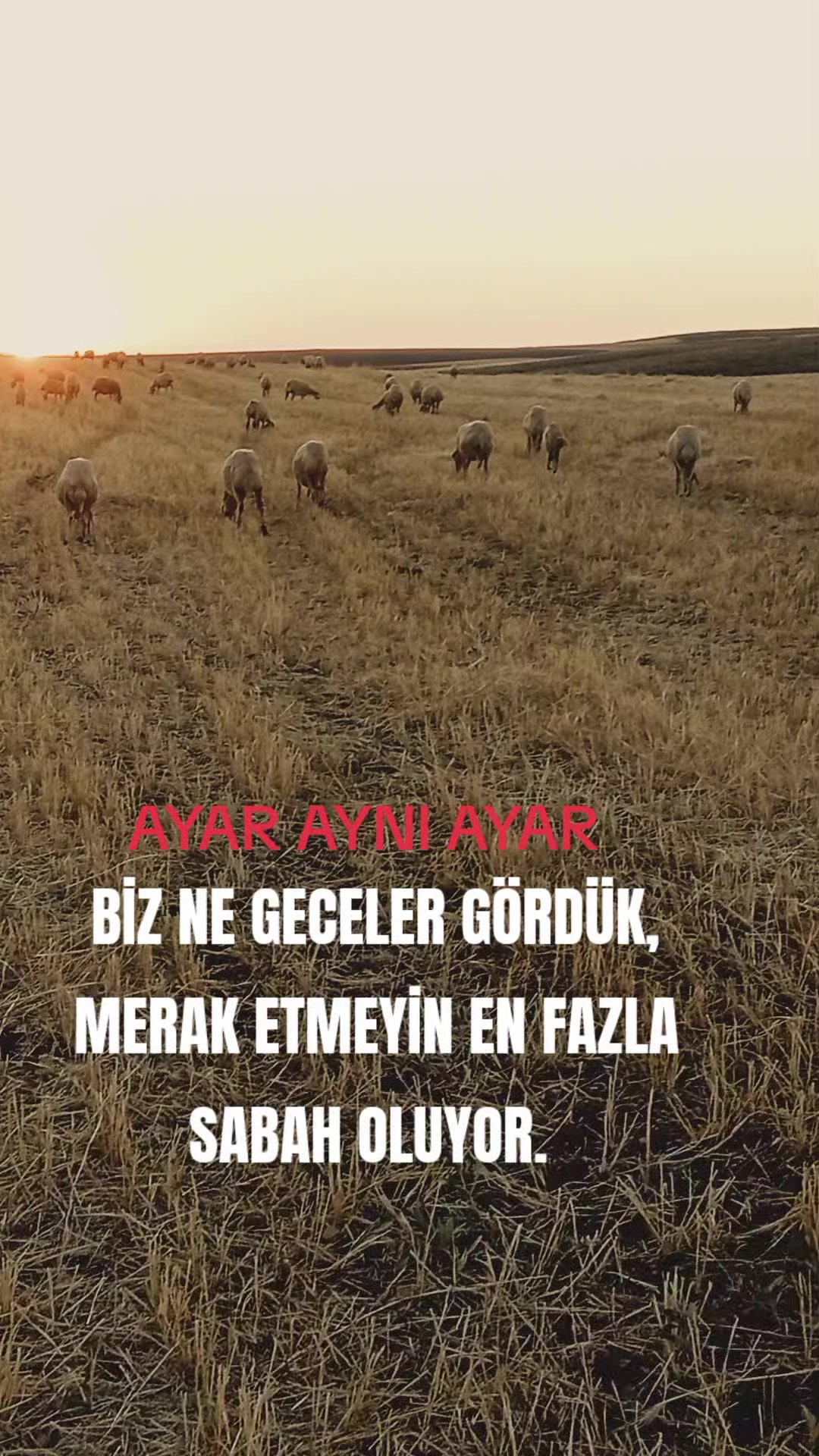 @HAYAL KEŞ