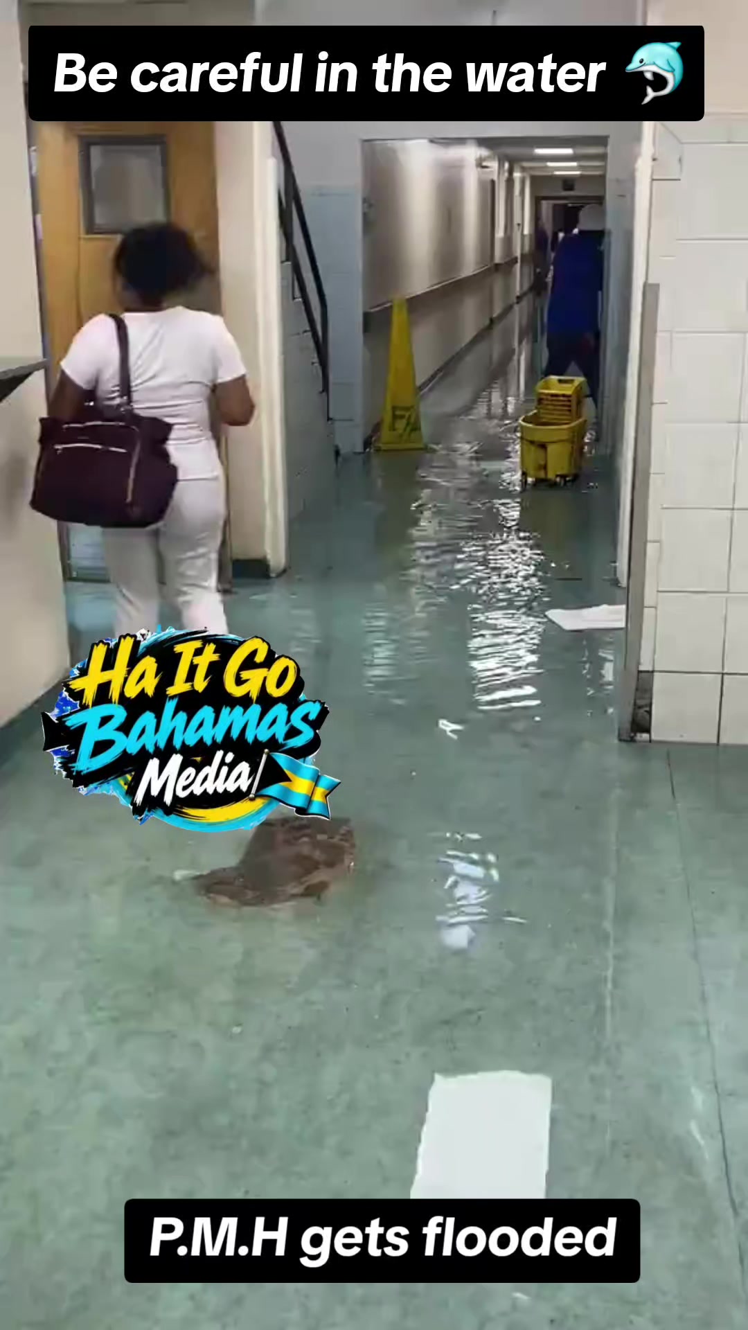 @Ha It Go Bahamas🇧🇸 Media