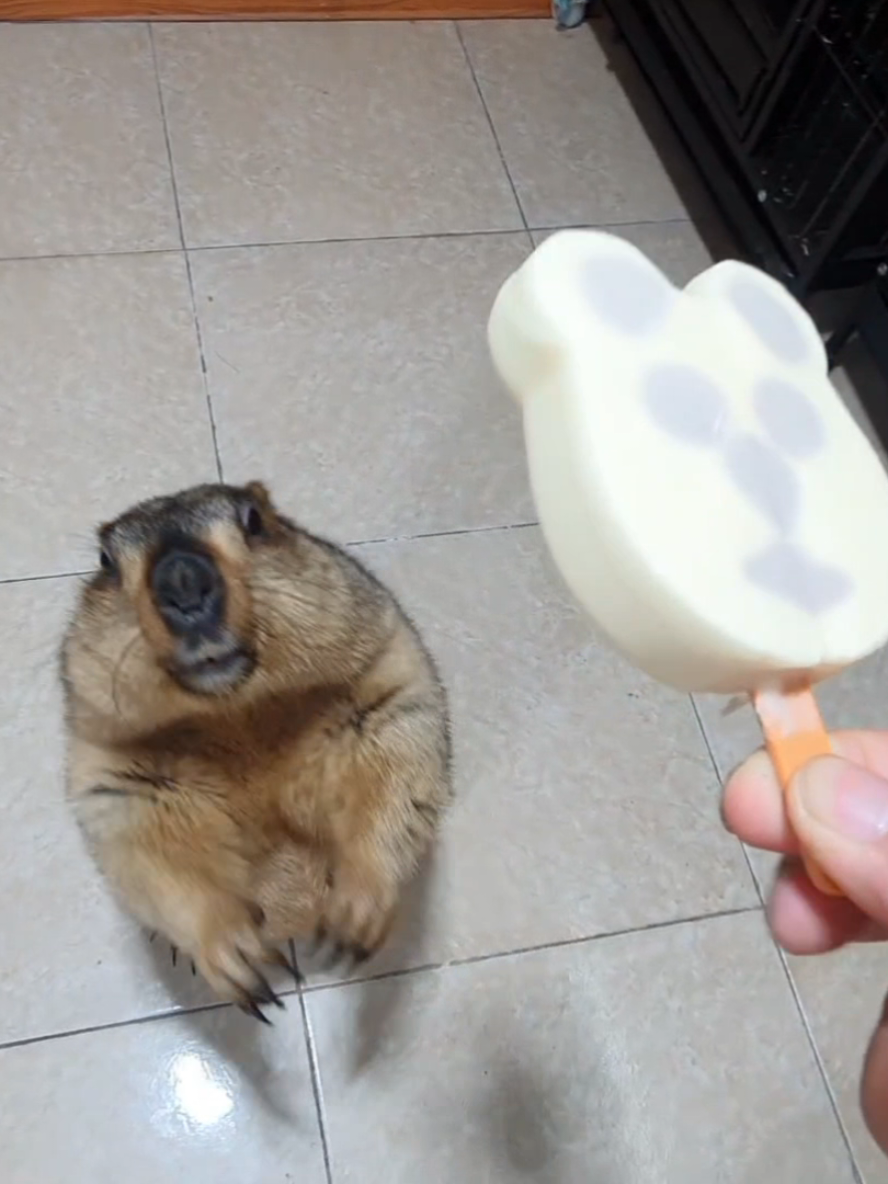 @YêuYêu