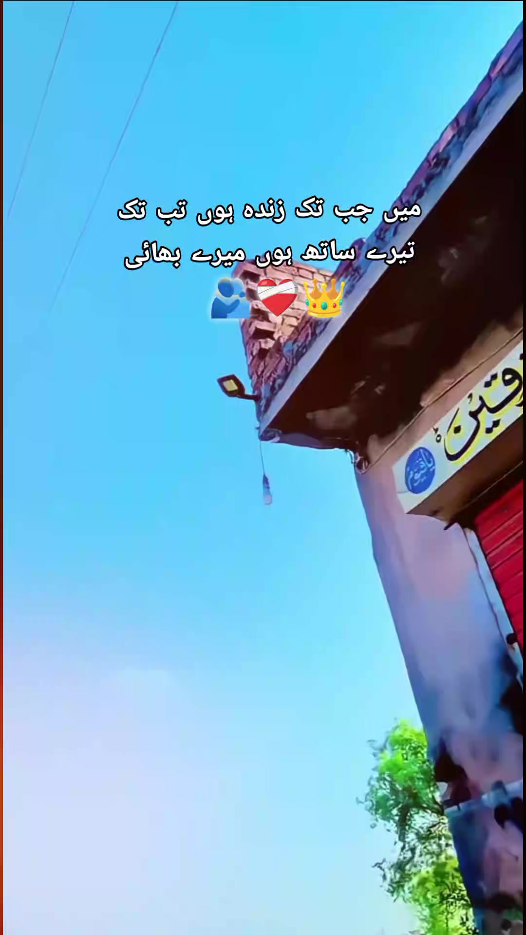 @Husnain🌸