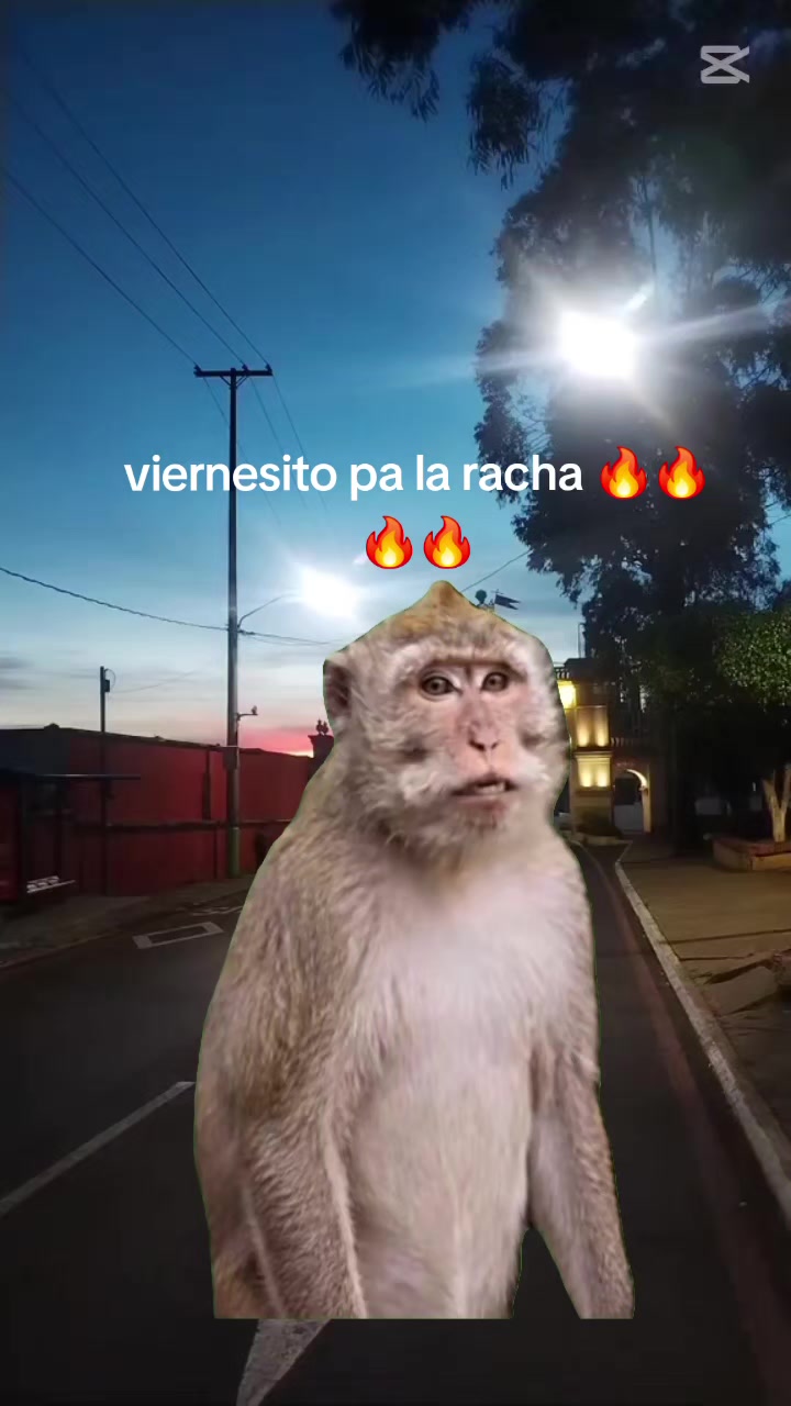 @elnegrito😈😈😈😈🇬🇹🇬🇹🇬🇹