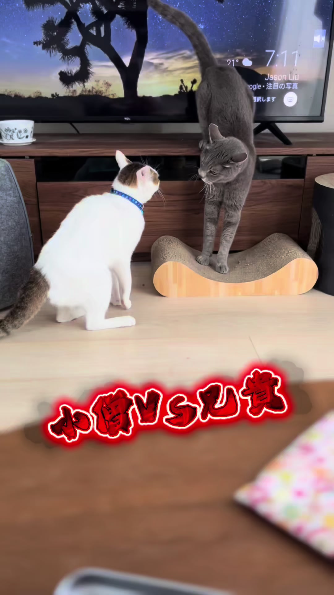 @くろねこ🐈⬛🩶🐈🤍