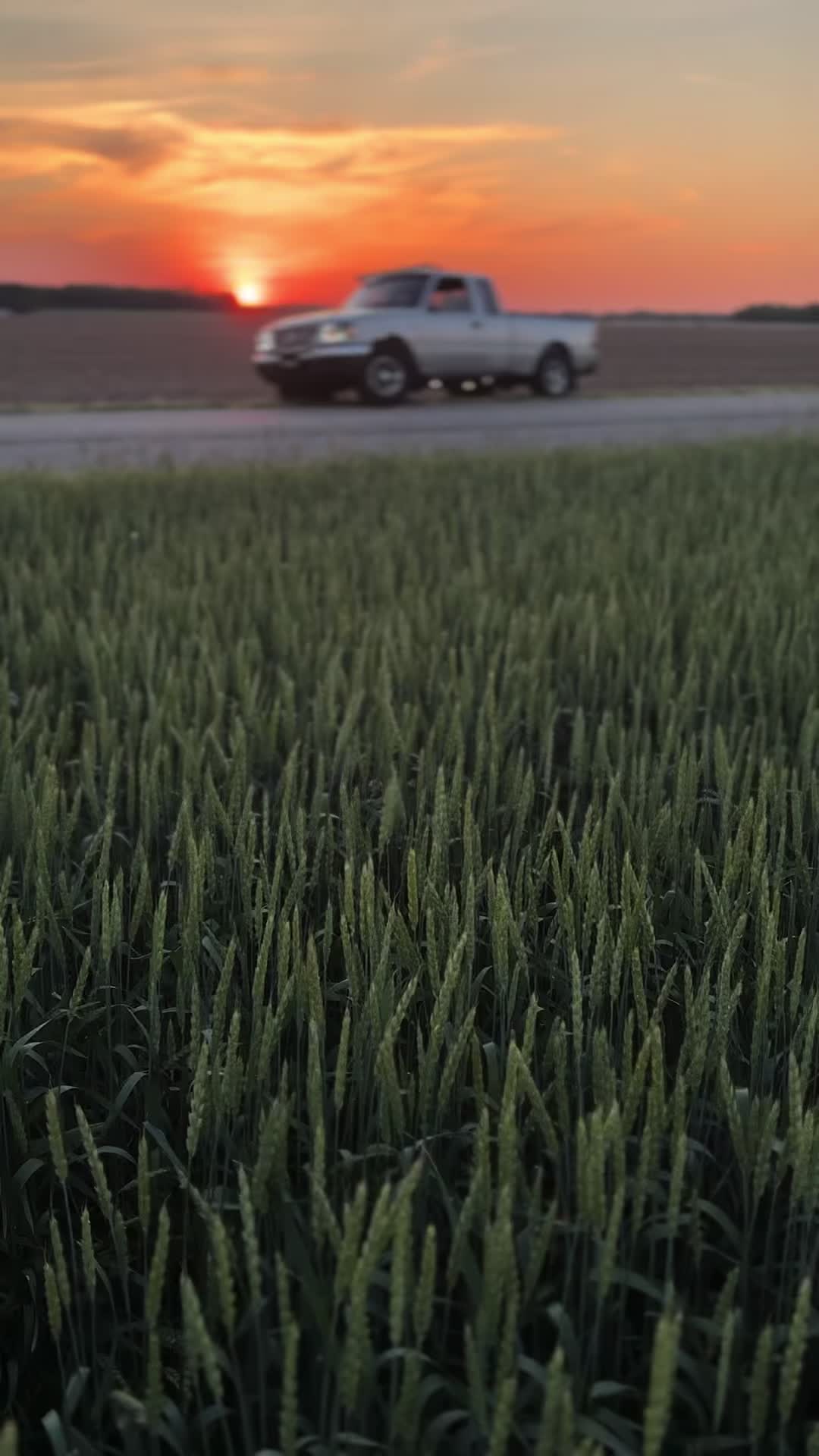 @yuhboywat