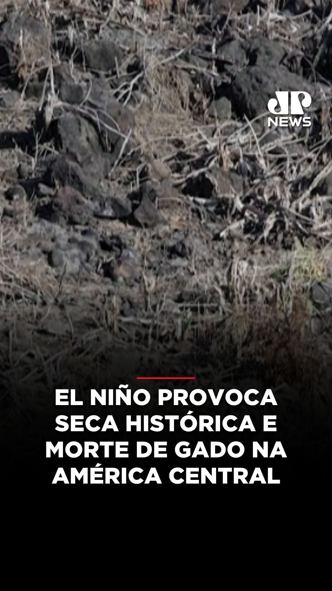 @Jovem Pan News