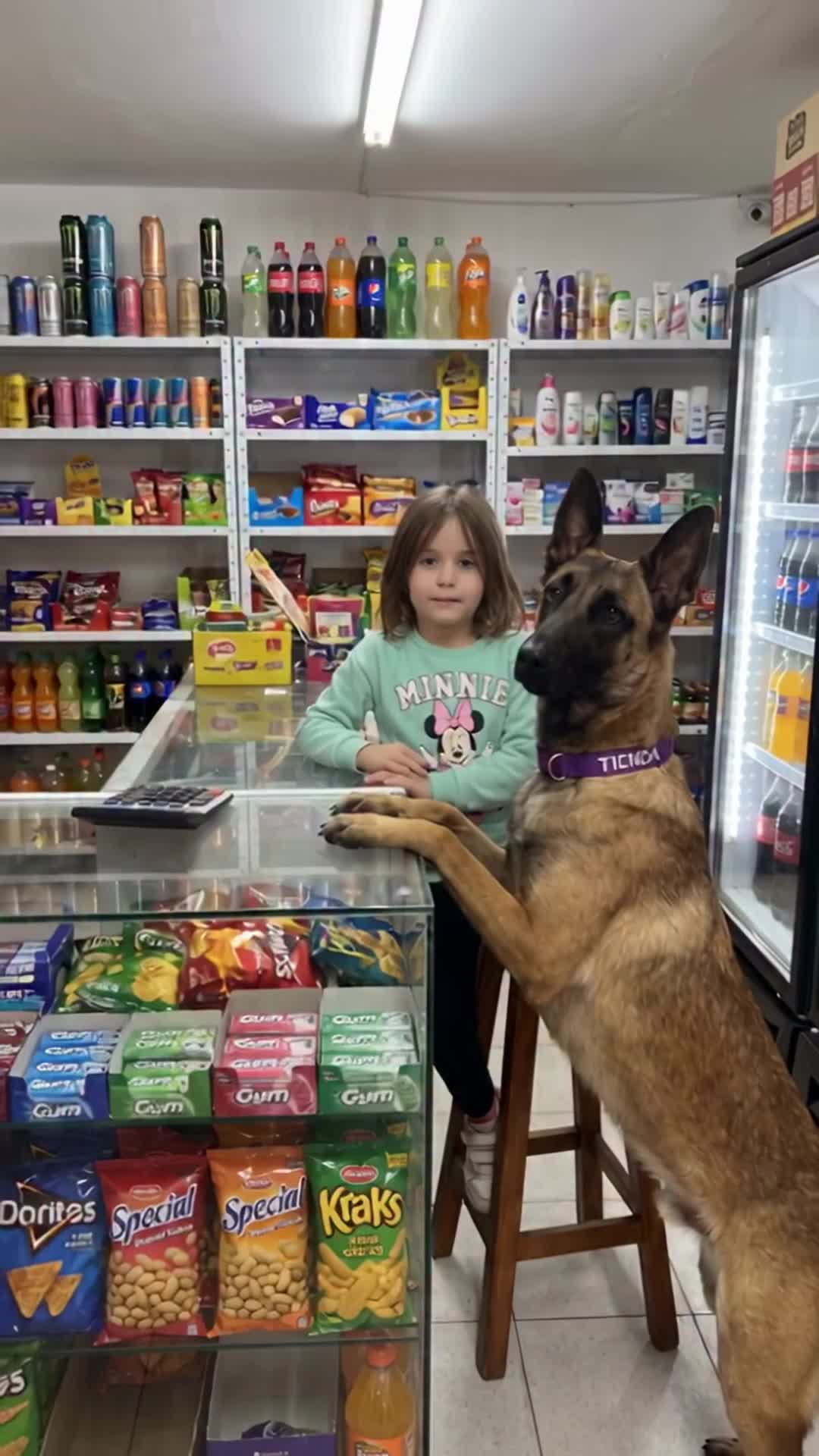 @middlepets