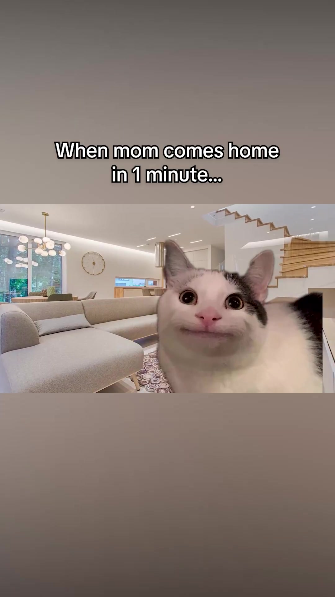 @Beluga
