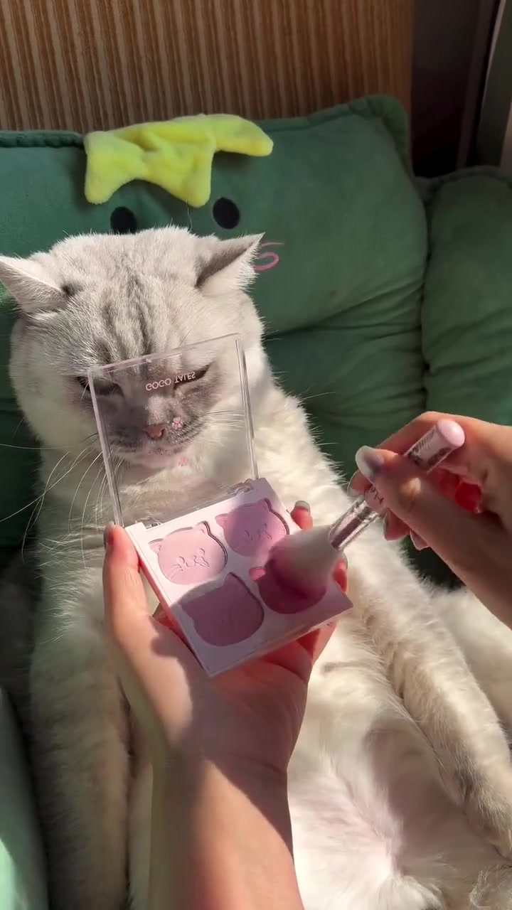 @gonzo_cats