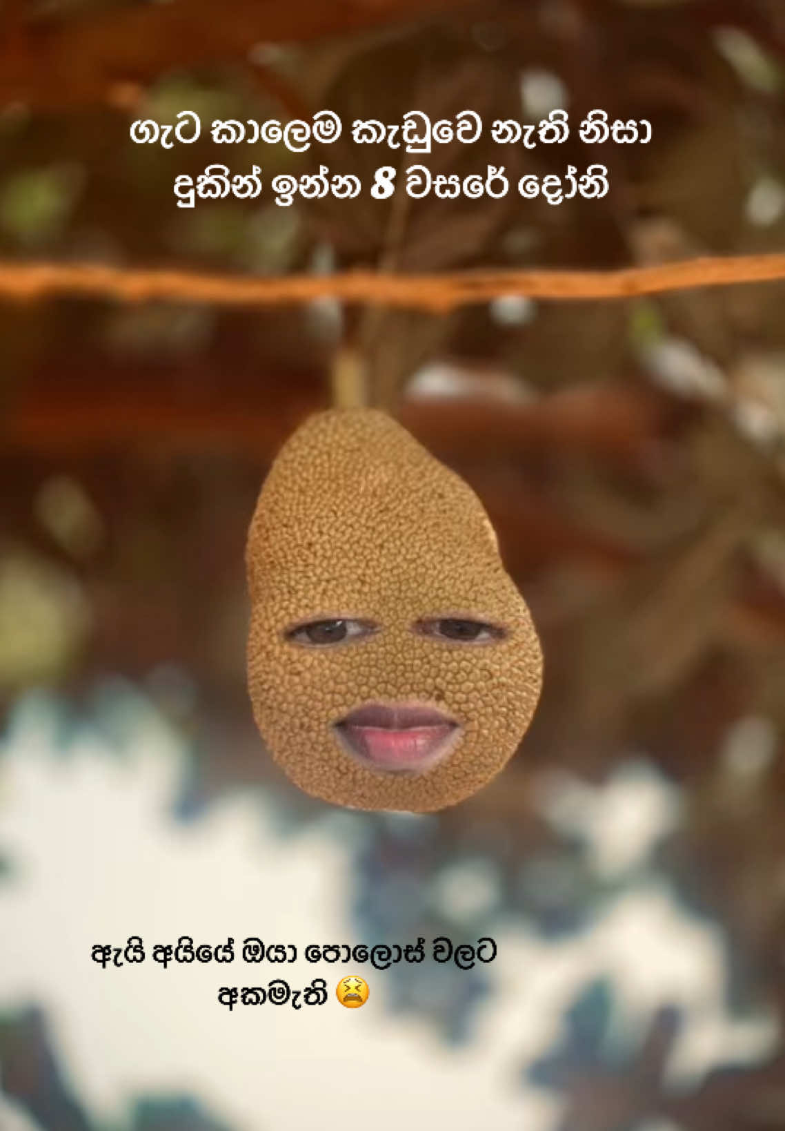@Dunnama_kannam_kala_duwannam🐷