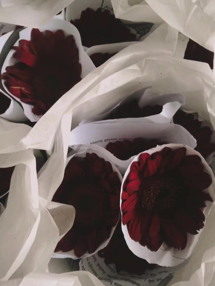 @𝐌𝐞𝐤𝐚𝐫 𝐒𝐞𝐧𝐣𝐚