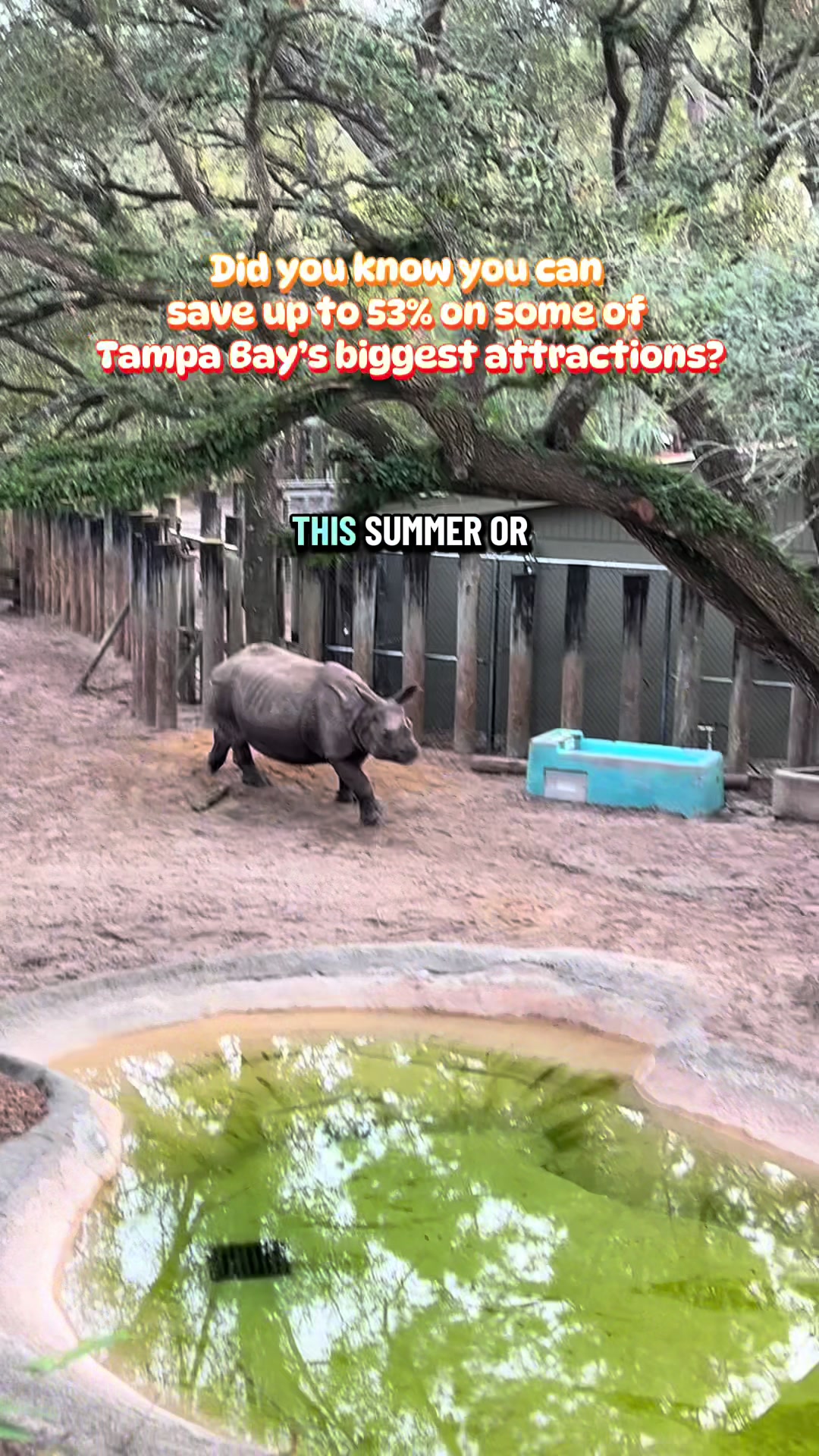 @SheMamaMaps📍Travel Tips