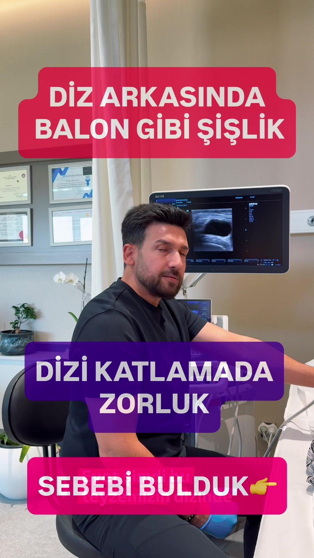 @Dr. Beşir Şahin İnceer