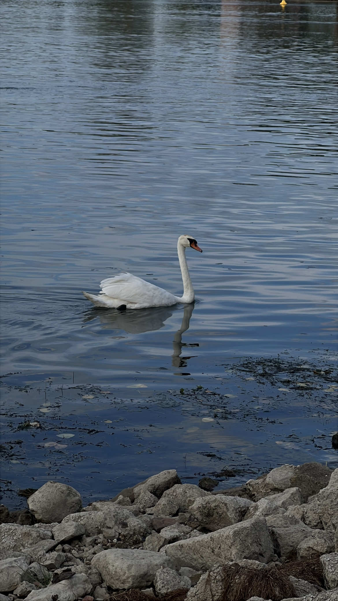 @Meliha🦢🎀