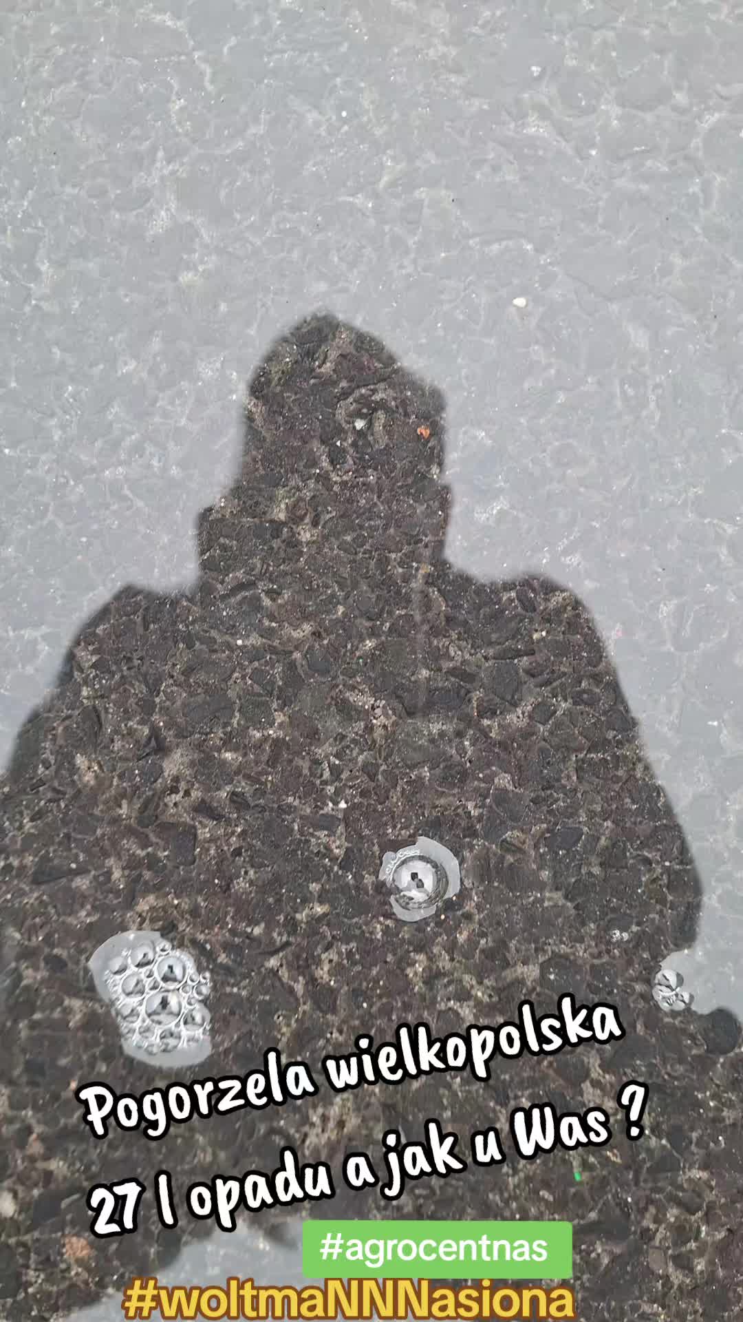 @WOLTMANNNASIONA