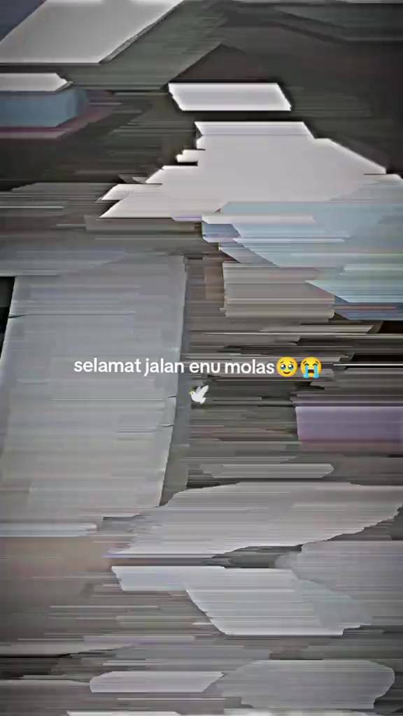 @BELARMINO™