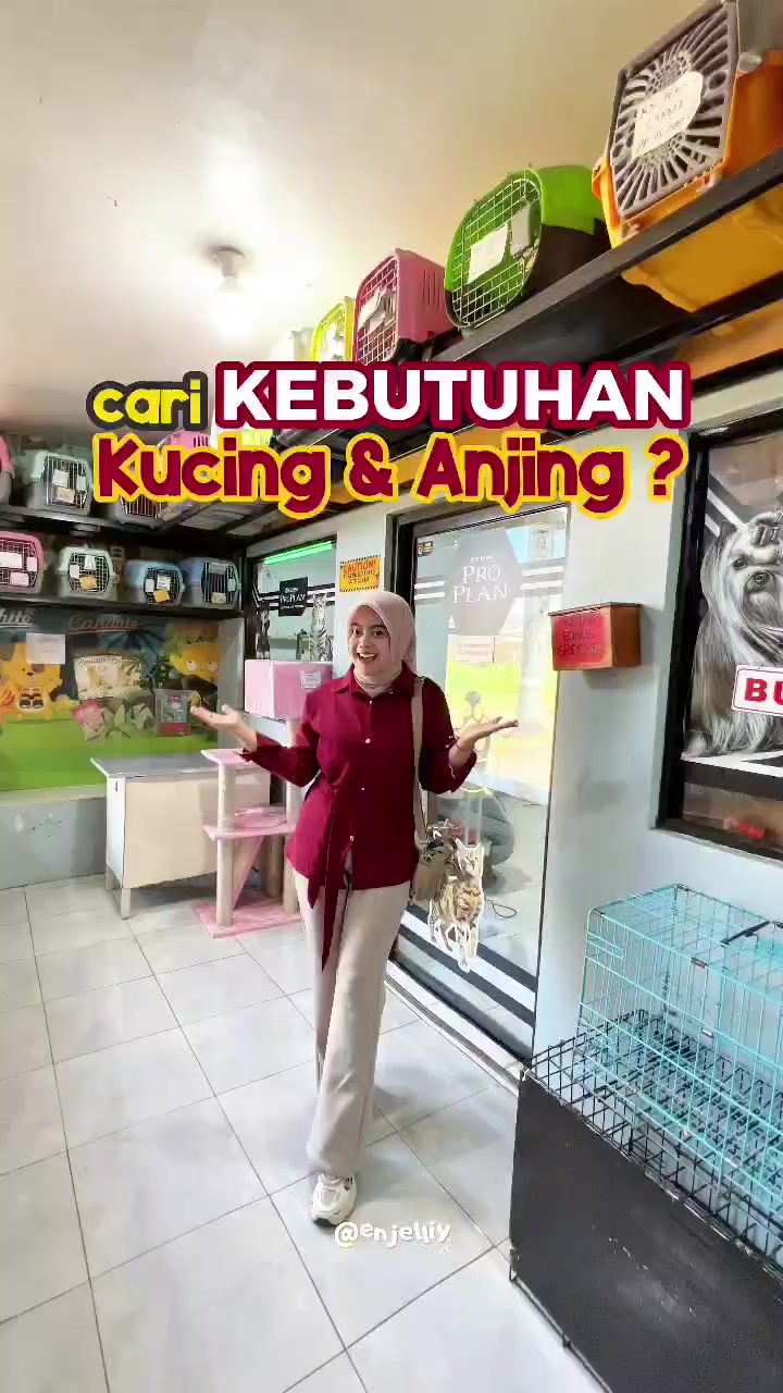 @Vdb petshop
