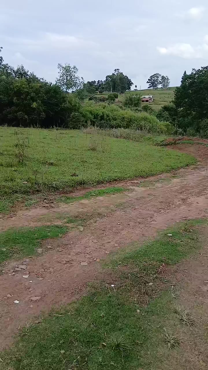 @NeideRodeigues315