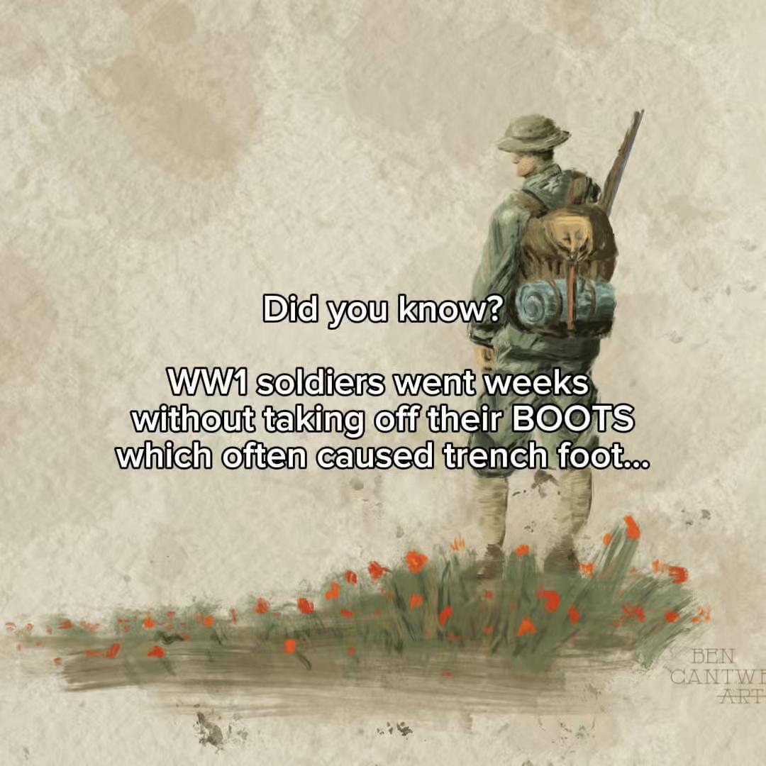 @History Soldier🪖